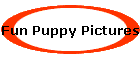 Fun Puppy Pictures